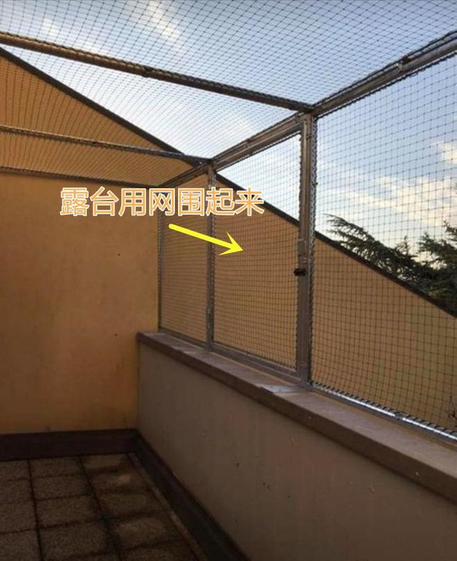 米乐m6官网最新版露台不封阳光房朋友家罩一层钢丝网安全防盗物业也不说是违建
